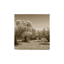 Cilio Toscana Palet Med Huller -Fiskars butik olivetrees 300 m